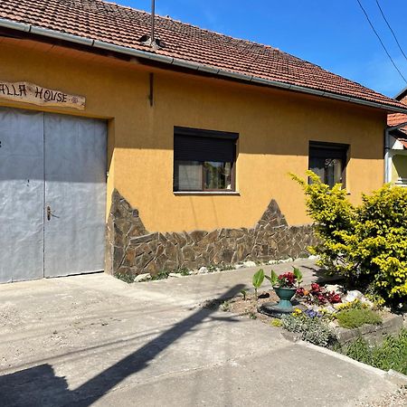 Balla House Bed and Breakfast Tărcaia Exterior foto