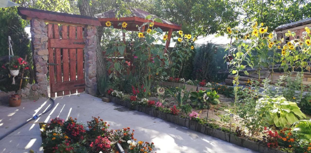 Balla House Bed and Breakfast Tărcaia Exterior foto