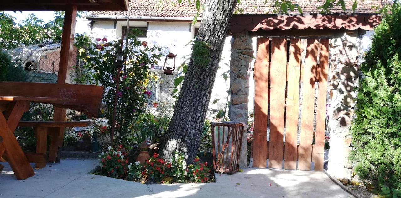 Balla House Bed and Breakfast Tărcaia Exterior foto