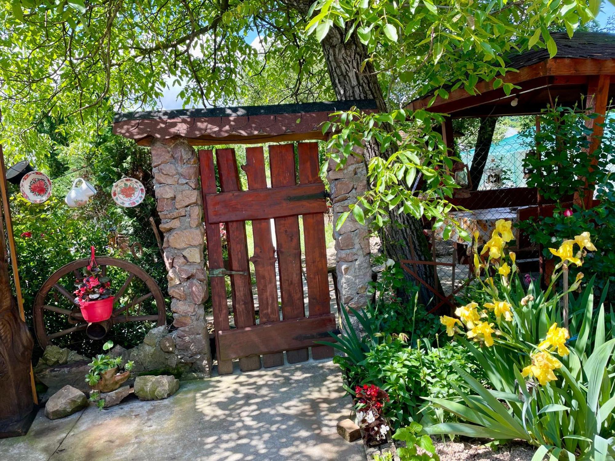 Balla House Bed and Breakfast Tărcaia Exterior foto