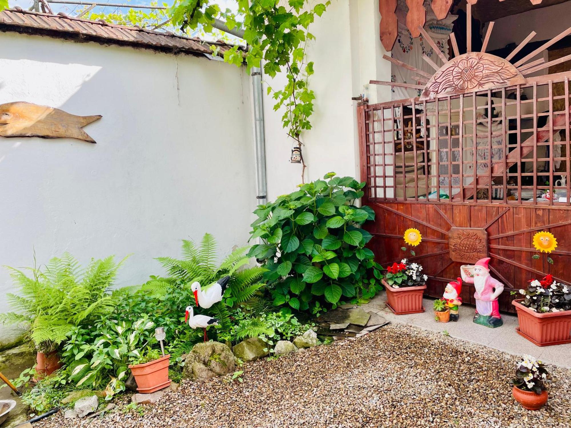 Balla House Bed and Breakfast Tărcaia Exterior foto